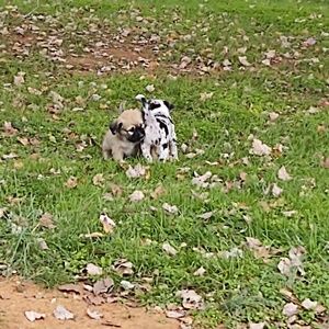 Meet your Posher, Christine